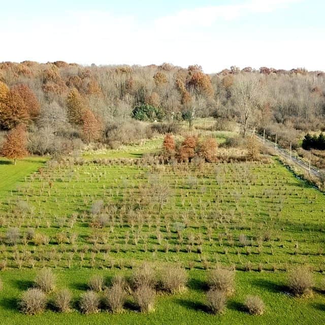 Agricultural Field Mapping Square