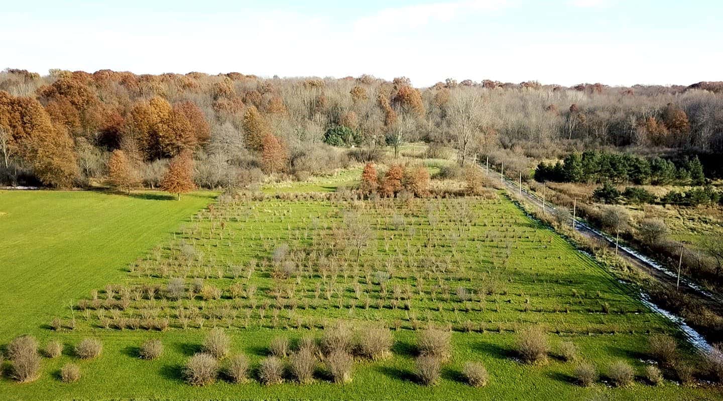 Agriculture field