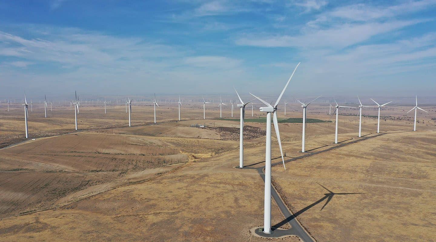 Windmills in the valley