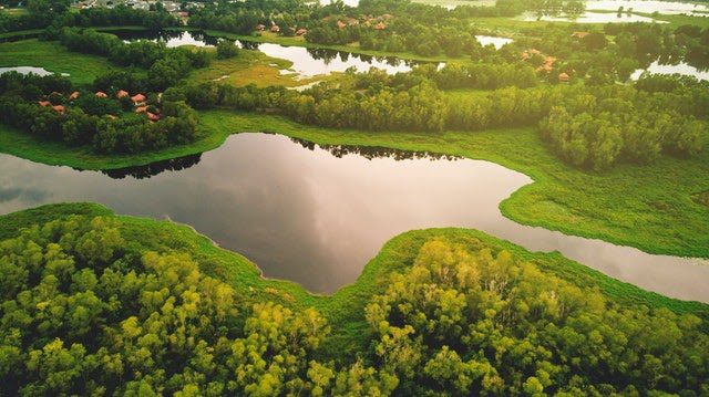 lafayette swamp aerial