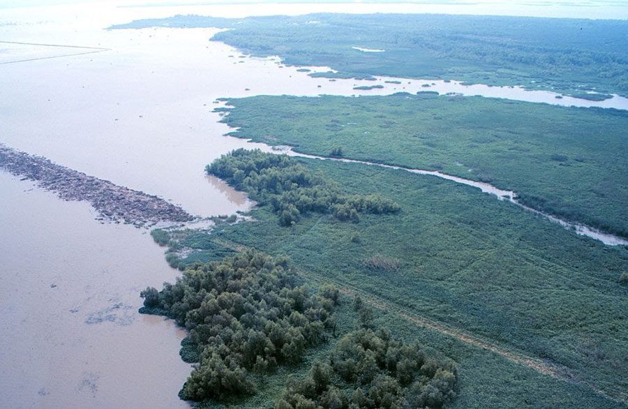 louisiana atchafalaya bay