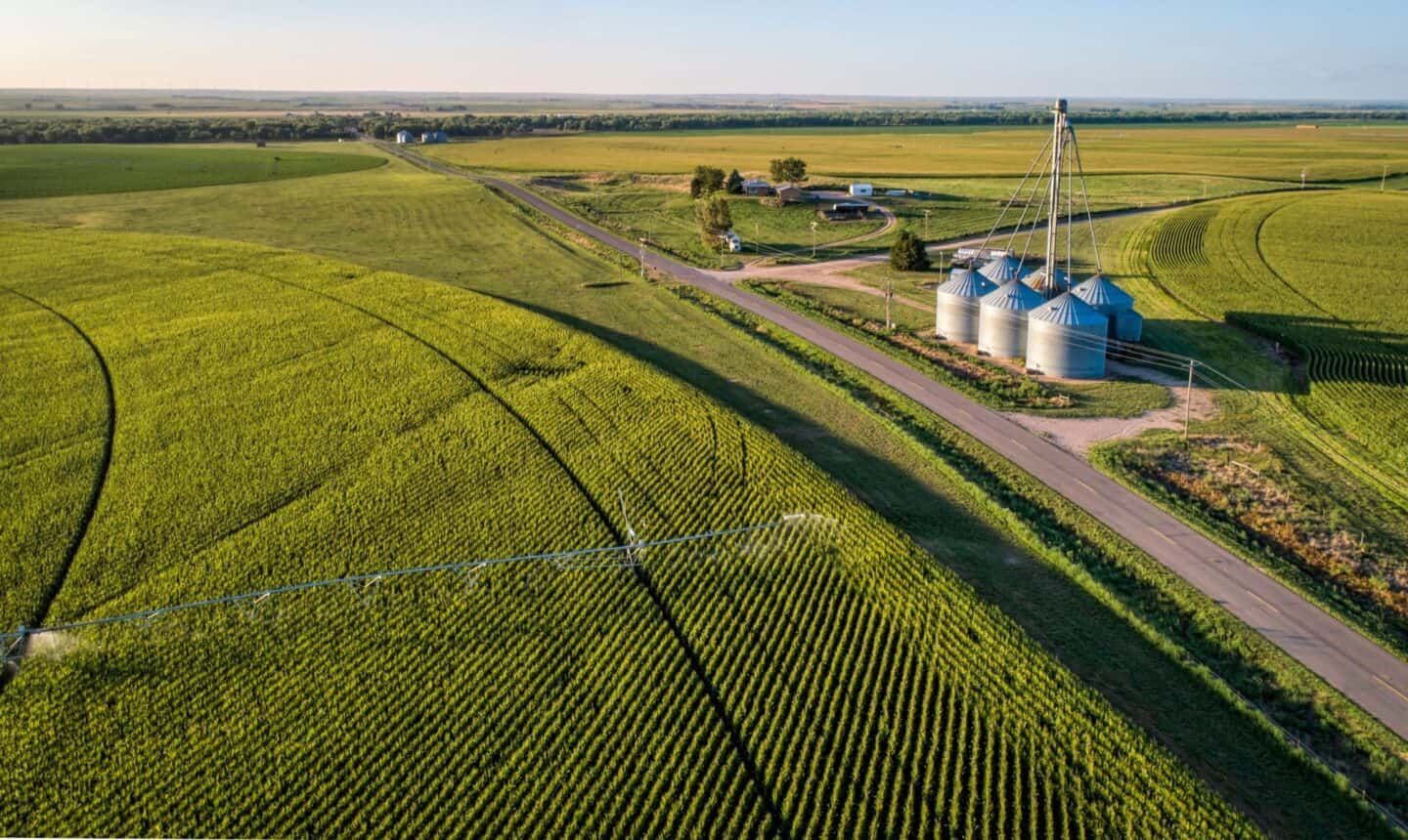 Aerial view of green fields full of crops