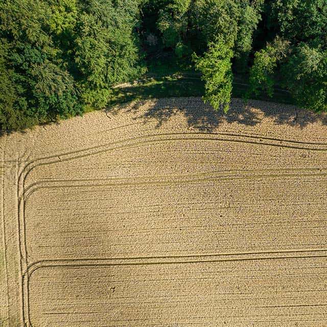 Agriculture 640px