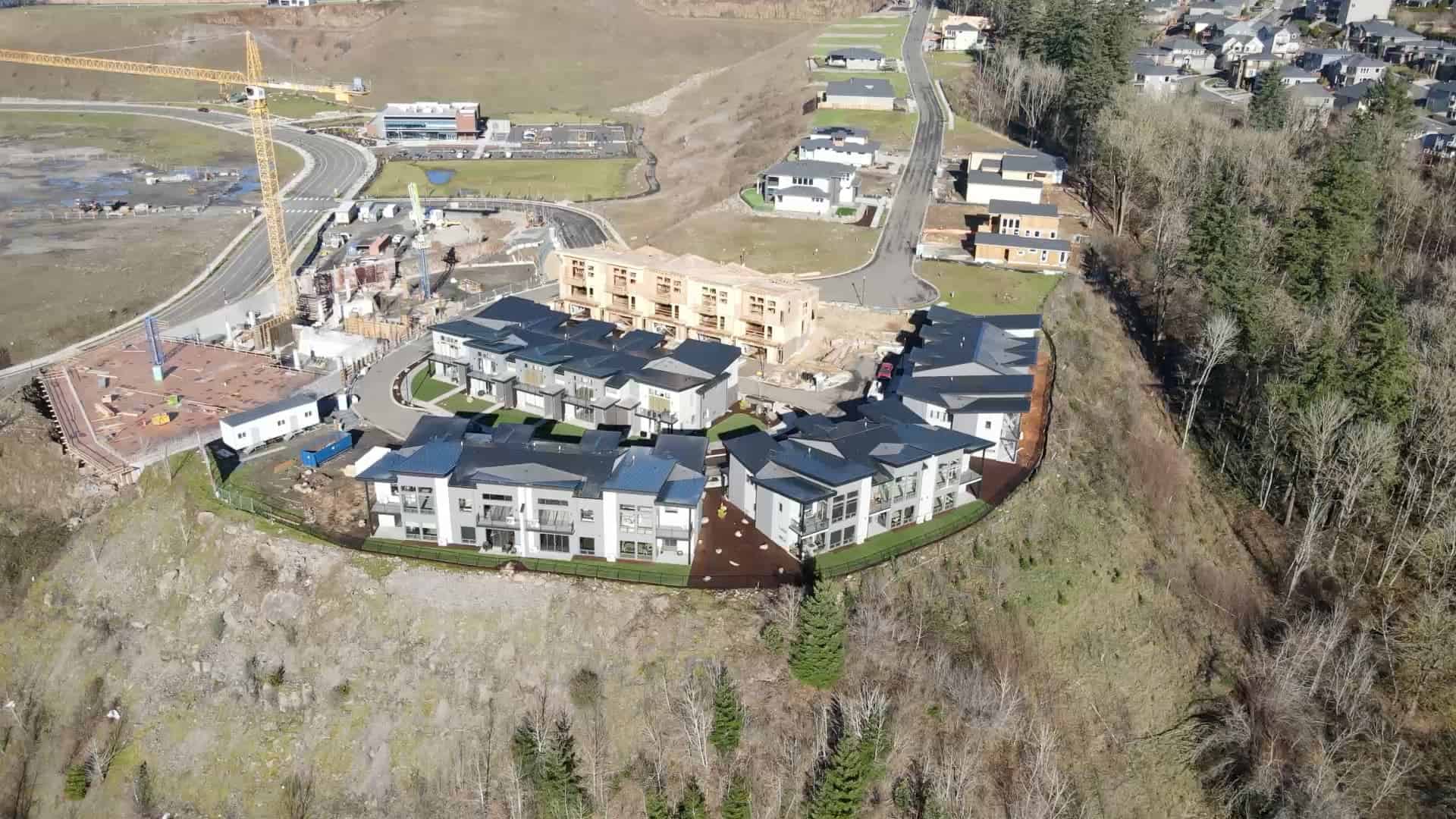 Aerial view of a crane