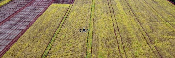 LiDAR + Agriculture