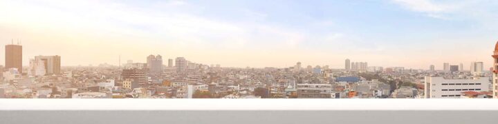 FlyGuys and Flock Safety