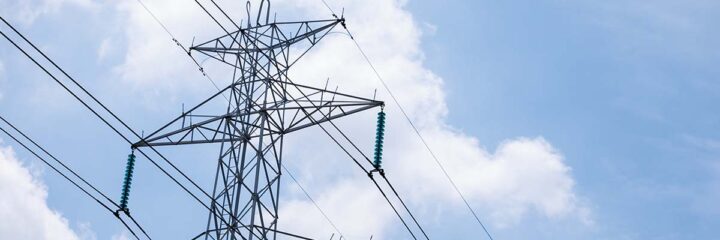 Vertex/FlyGuys Case Study