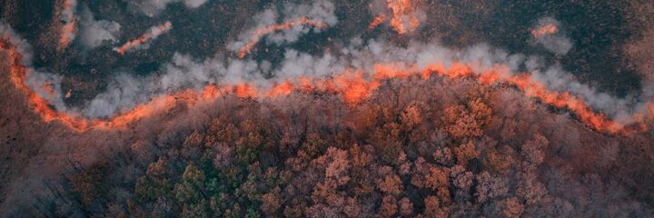 wildfires in utilities