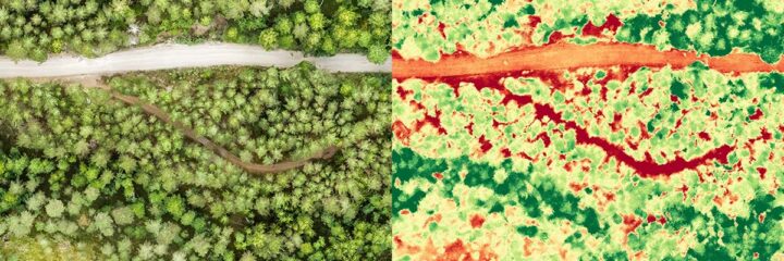 RGB & Multispectral together