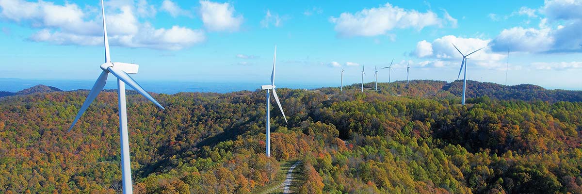 Renewable Energy Sectors That Use Reality Data Capture