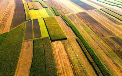 Revolutionizing Agriculture: The Unmatched Benefits of Reality Data Capture