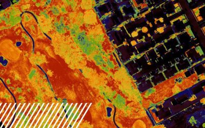 Understanding NDVI: Normalized Difference Vegetation Index