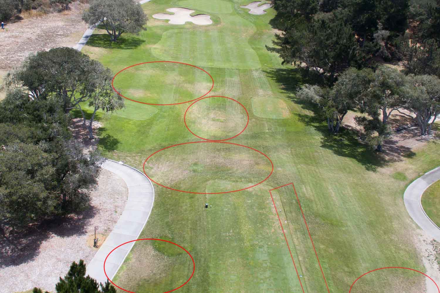 Drone Golf Course Problem Areas